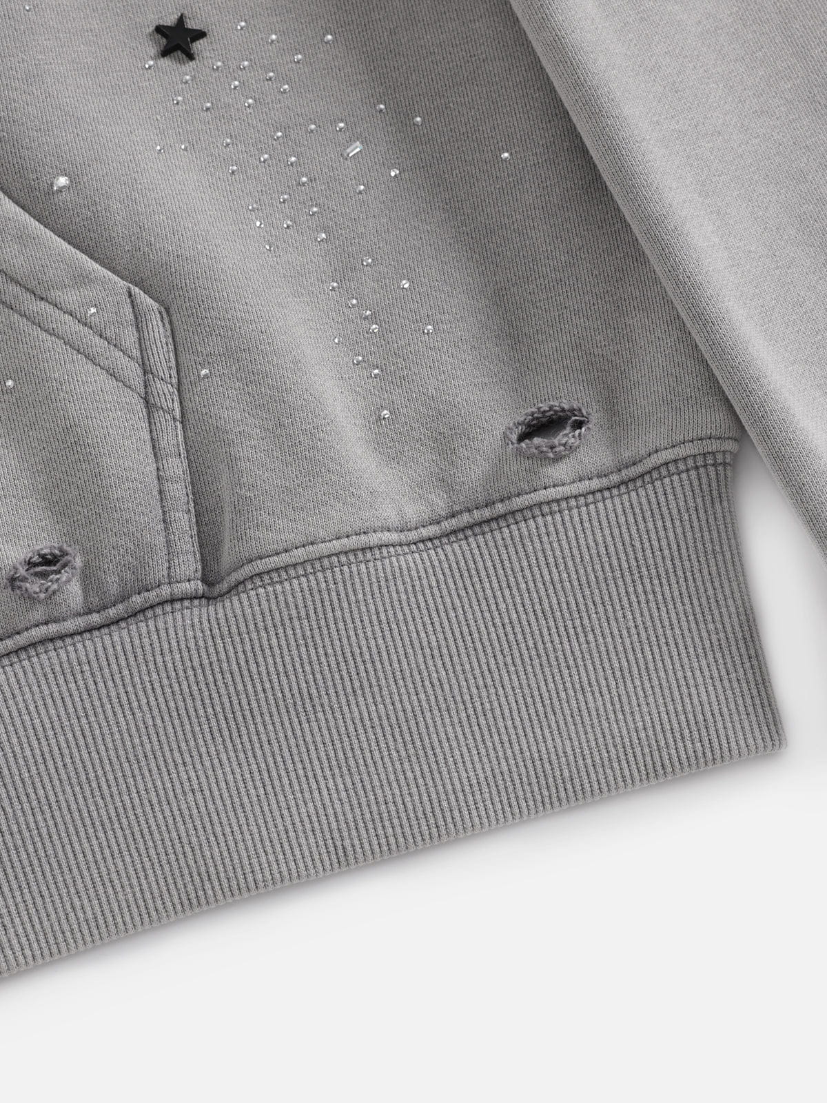 Aelfric Eden Rhinestone Zip Up V302 Boxy Hoodie