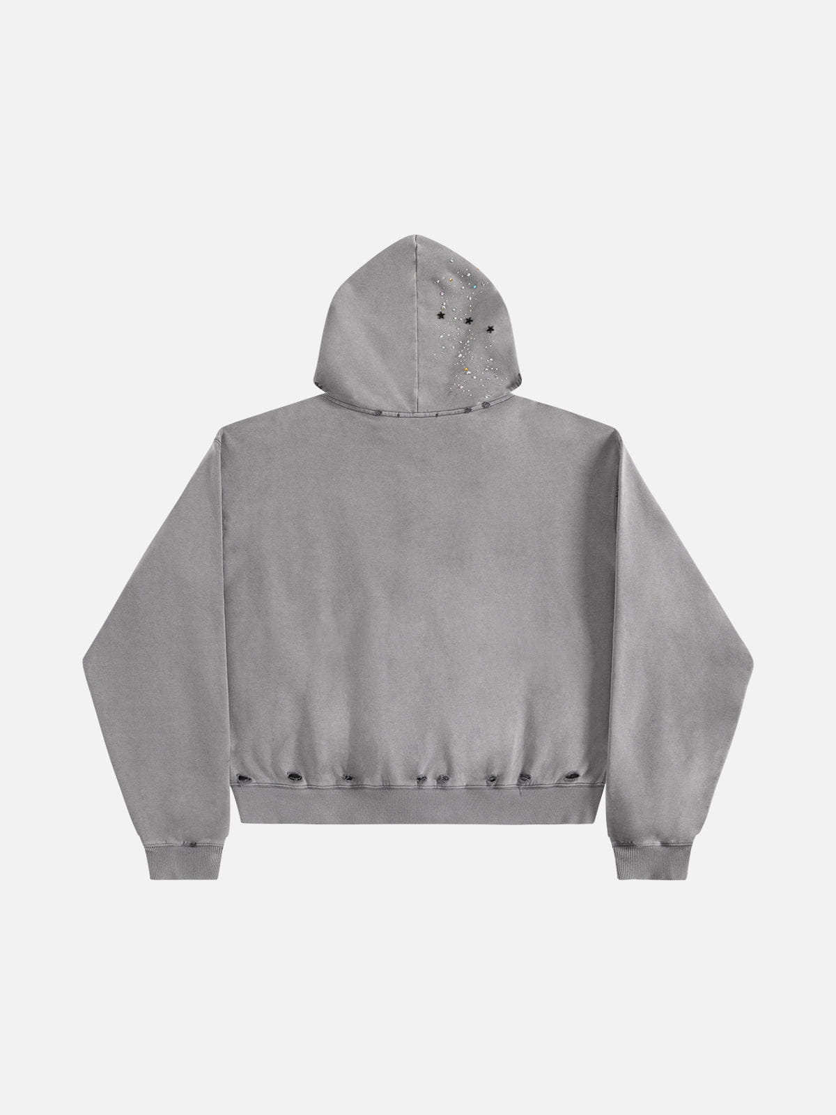 Aelfric Eden Rhinestone Zip Up V302 Boxy Hoodie