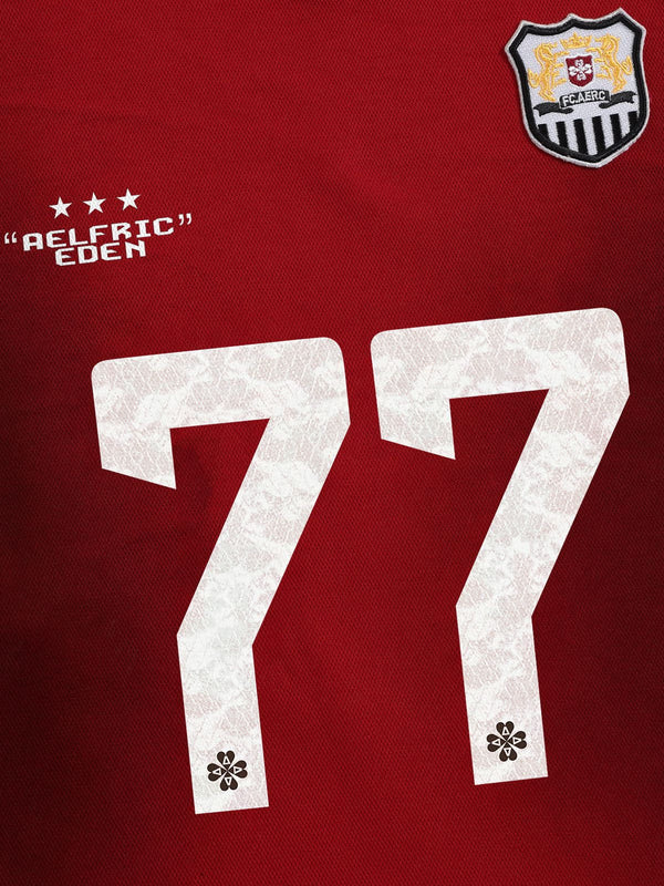 Aelfric Eden 77 Color Blocking Pullover Hoodie