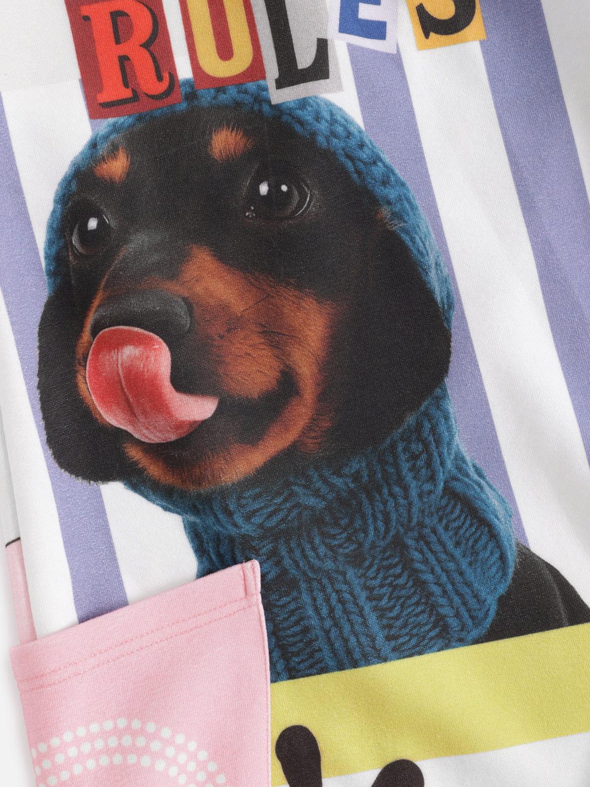 Aelfric Eden Dachshund Collage Double Waist Baggy Sweatpants