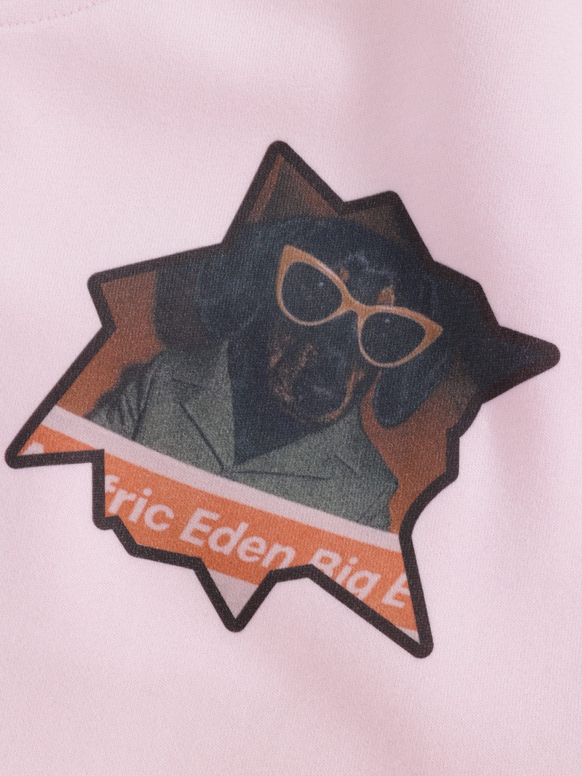 Aelfric Eden Dachshund Sticker Sweatpants