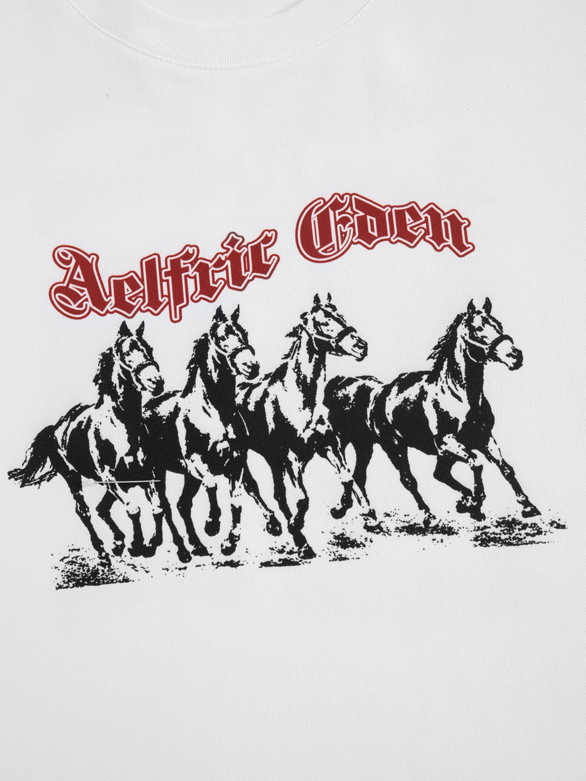 Aelfric Eden Boxy Horse Graphic Tee – Aelfric eden