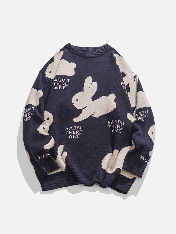 Aelfric Eden Cute Rabbit Sweater